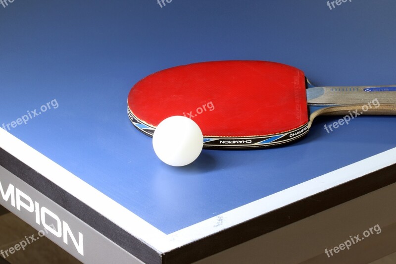 Table Tennis Sport Games Ball Play