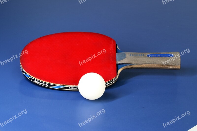 Table Tennis Sport Games Ball Play