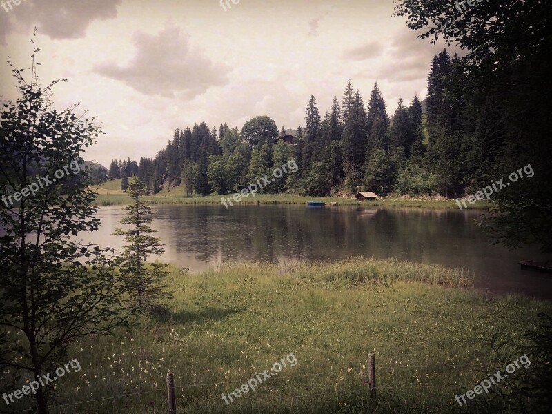 Lake Rain Landscape Weather Trees