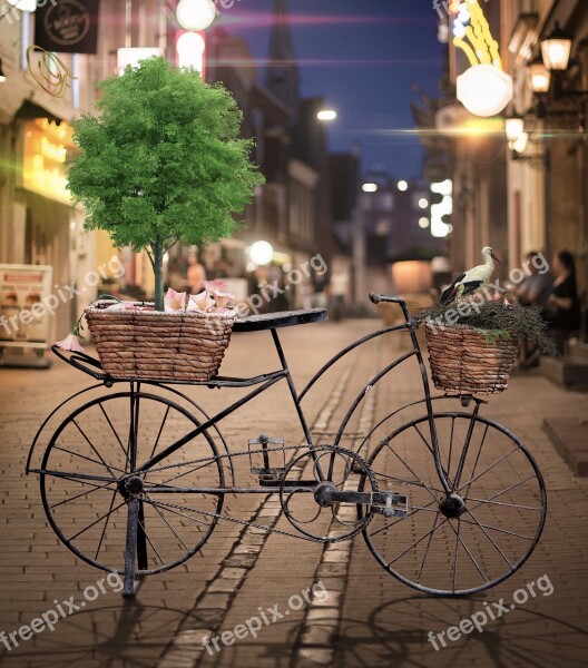 Bicycle Street Tree Birds Night