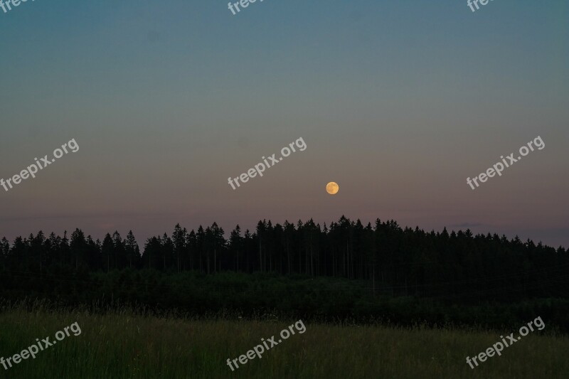 Full Moon Abendstimmung Moonlight Landscape Trees