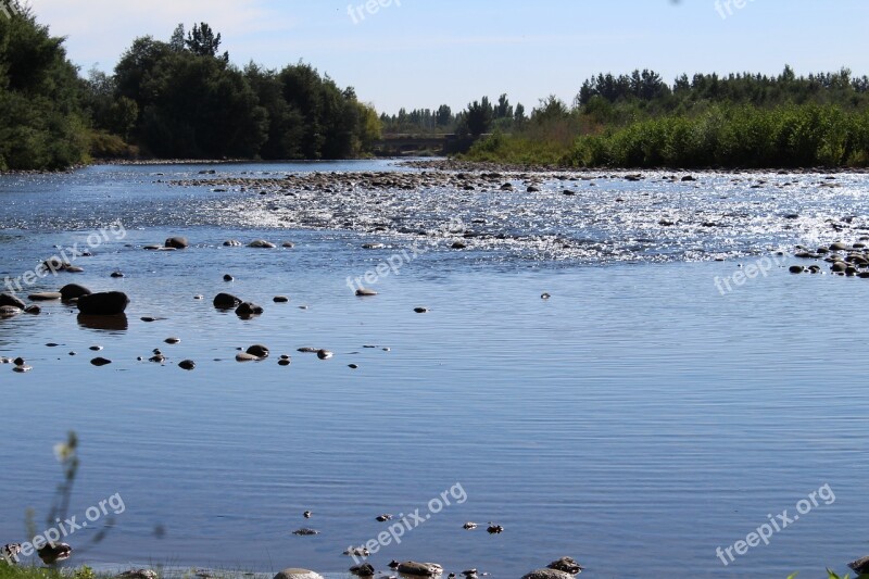 River Field Nature Forests Trees