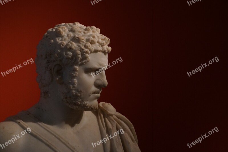 Caracalla Bust Antique Severe Emperor