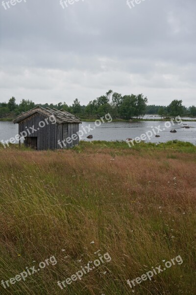 Cabin Nature Isolation Rural Rustic