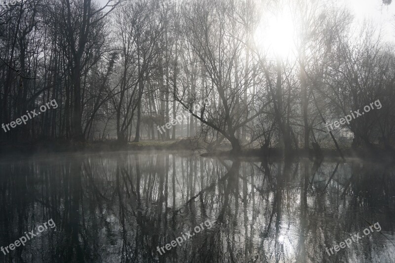 Winter Nature Cold Landscape Tree