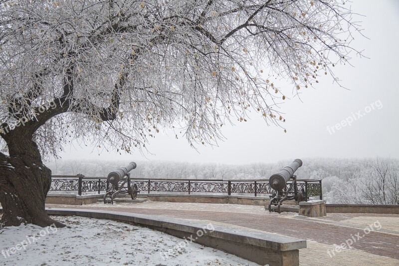 Park Winter Cannon Tree Snowy