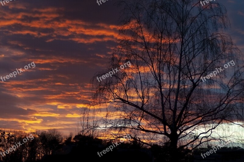 Sunset Afterglow Abendstimmung Nature Tree