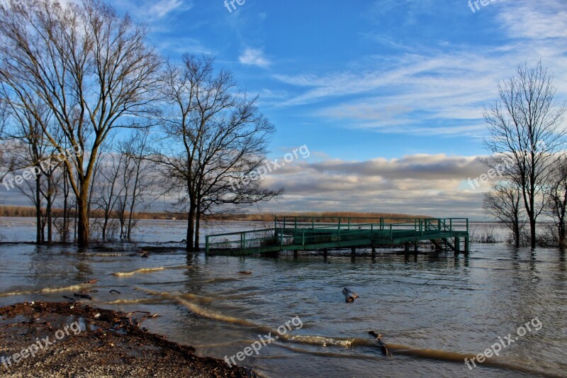 Flood Mississippi River Levee Driftwood Riverbank