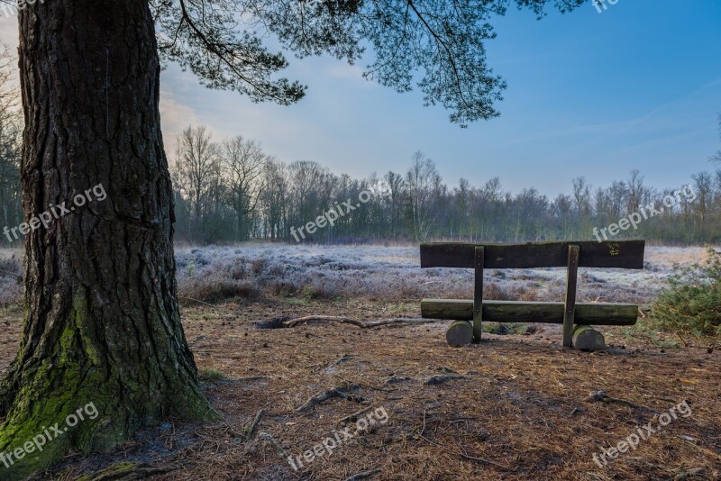 Heathland Bank View Tree Break