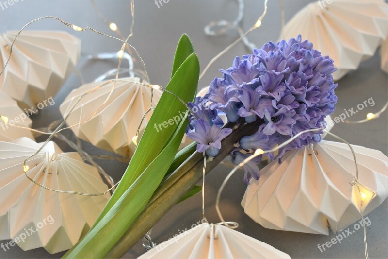 Decoration Deco Table Decorations Candle Flowers