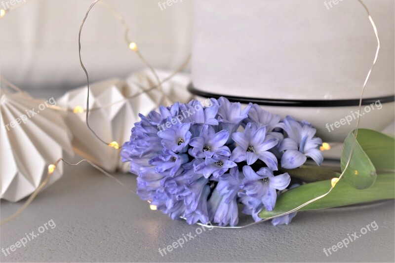 Decoration Deco Table Decorations Candle Flowers