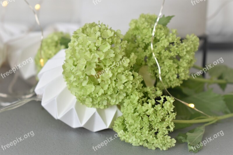 Decoration Deco Table Decorations Candle Flowers