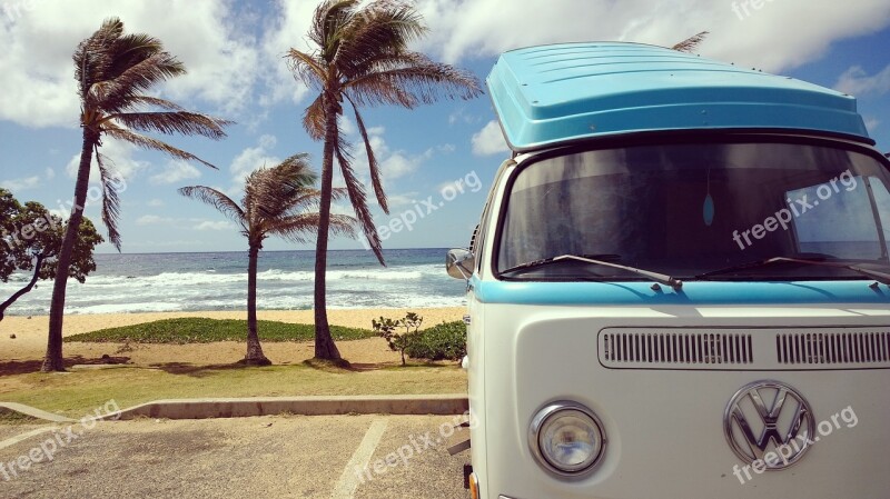 Palm Trees Beach Vibes Ocean Hawaii Summertime