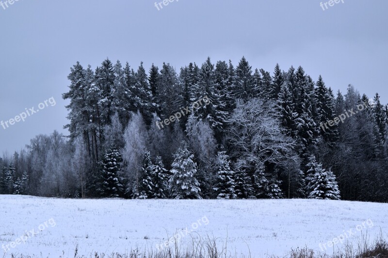 Winter Landscape Snow Cold Nature