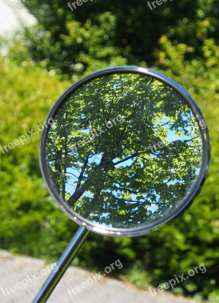 Rear Mirror Nature Tree Vespa Summer