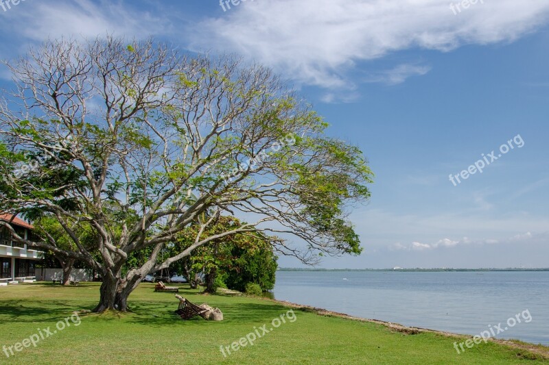 Lake Calm Relaxing Water Lagoon