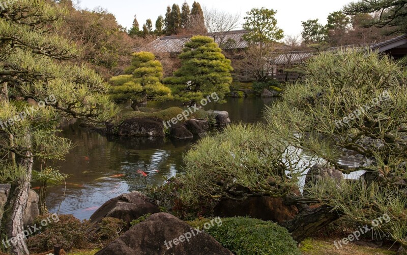 Japan Himeji Garden Lake Pine