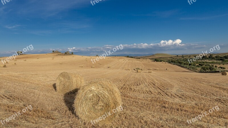 Wheat Field Villar De La Mare Agriculture Summer