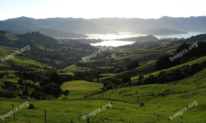 New Zealand Hills Vista Landscape Green