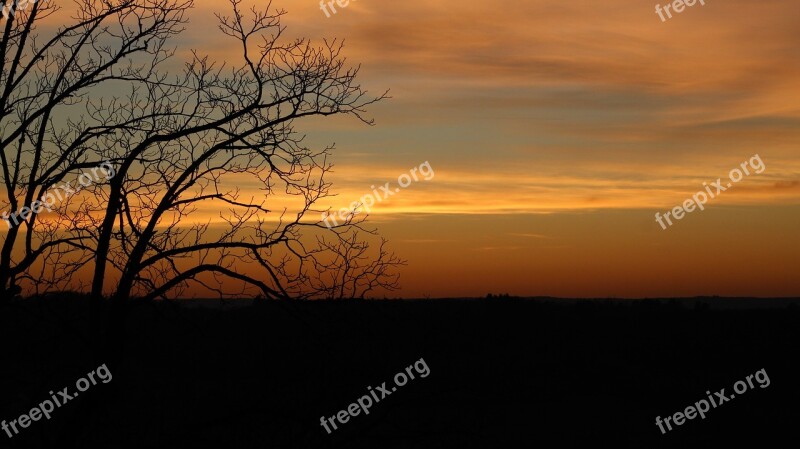 Sun Tree Orange Shadow Nature