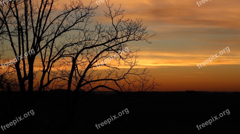 Sun Tree Shadow Nature Landscape