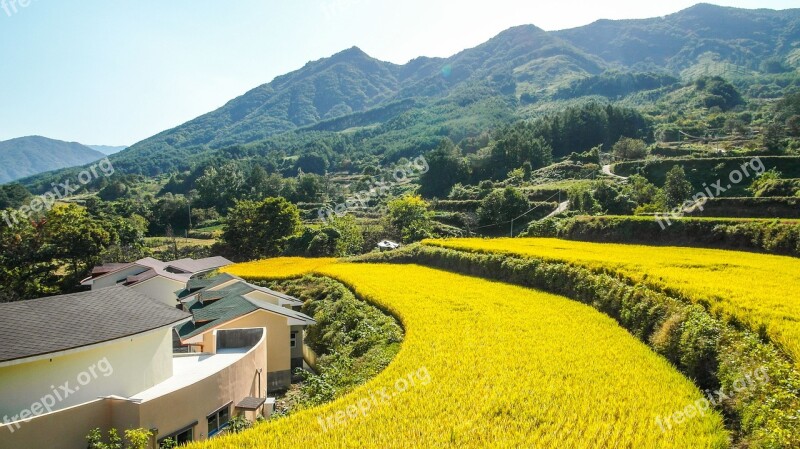 Rural Landscape Power Landscape Yellow Light Stairs Canon Autumn