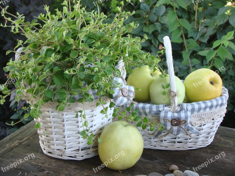 Shopping Cart Fruit Healthy Free Photos