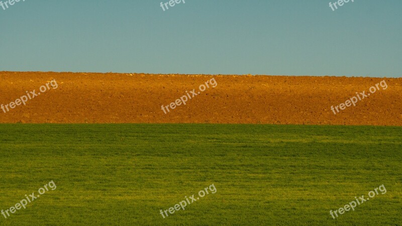 Laid Plow Field Agriculture Sow