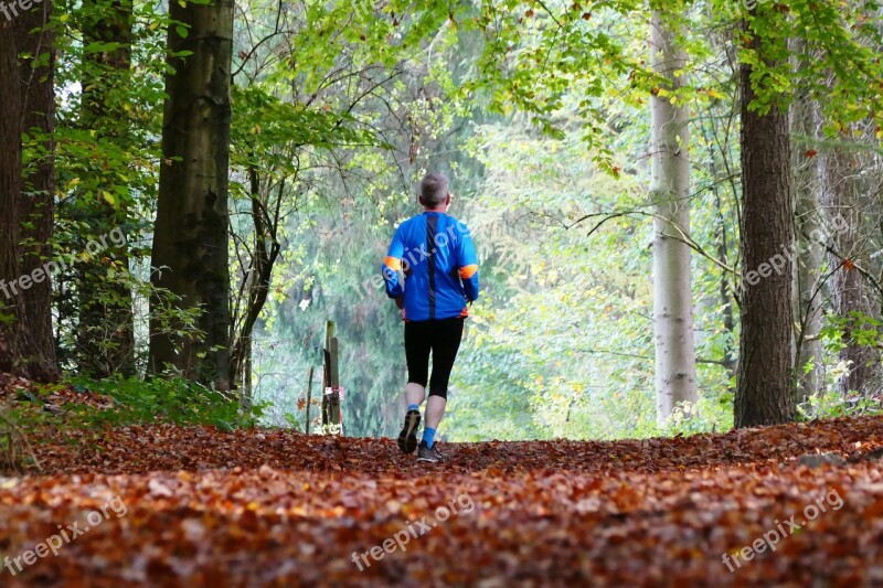 Forest Nature Sport Jogger Trees