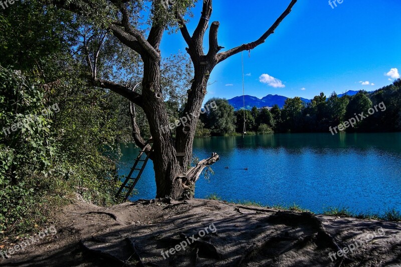 Lake Tree Waters Water Nature