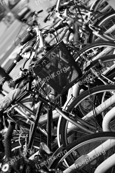 Bicycles Bicycle Basket Downtown Park Bike Racks