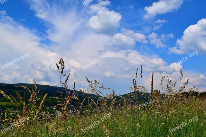 Nature Grasses Clouds Sky Meadow