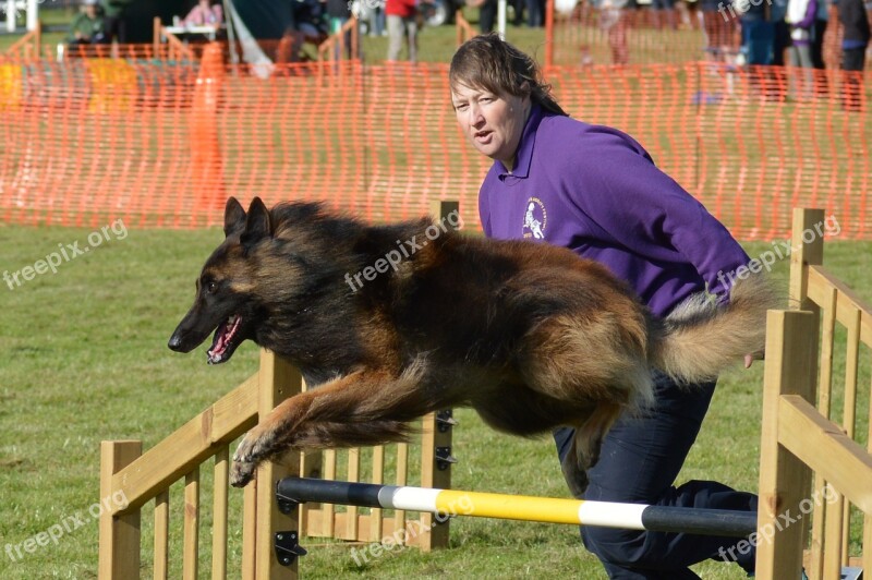 Belgian Shepherd Dog Handler Agility Fitness Jump