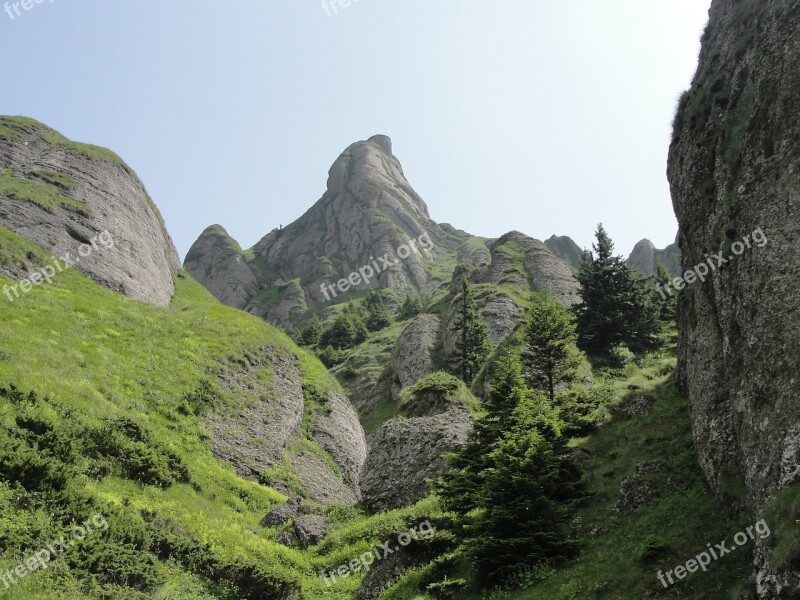 Ciucas Hiking Mountain Nature Landscape