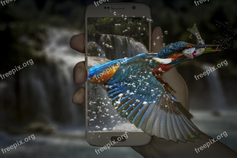 Fantasy Kingfisher Phone Telephone Waterfall