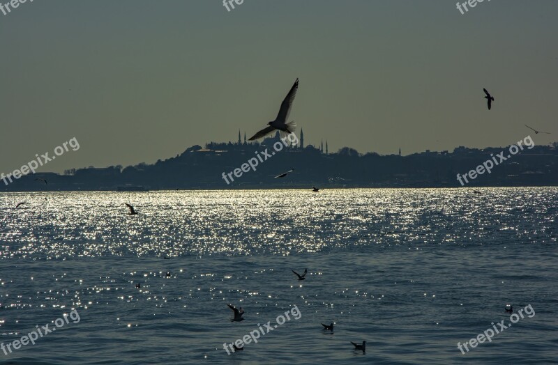 Istanbul Marine Sky Turkey Blue