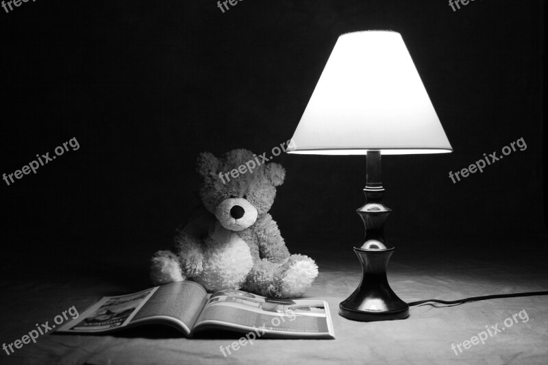 Teddy Bear Black And White Toy Lamp Reading