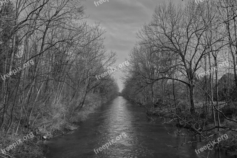 Forest River Water Light Shadow