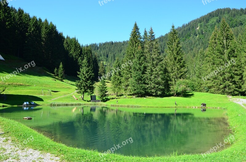 Bergsee Forest Water Nature Mountains