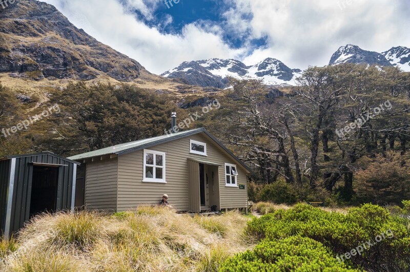 Nelson Lakes National Park Forest Bush New Zealand Nature