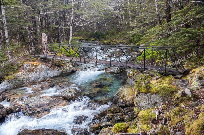 Nelson Lakes National Park River Stream Bridge Walkway