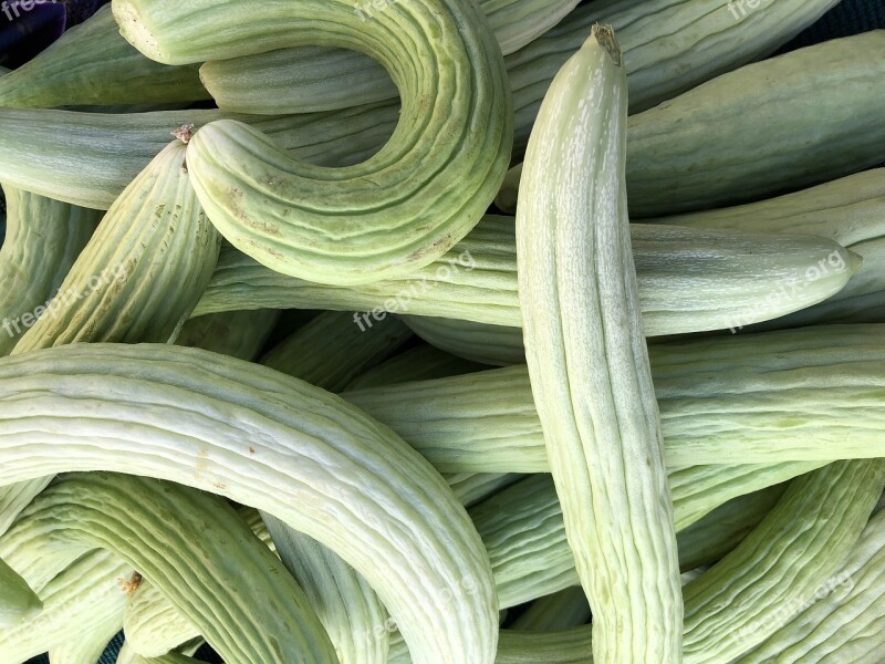 Squash Vegetables Harvest Food Autumn