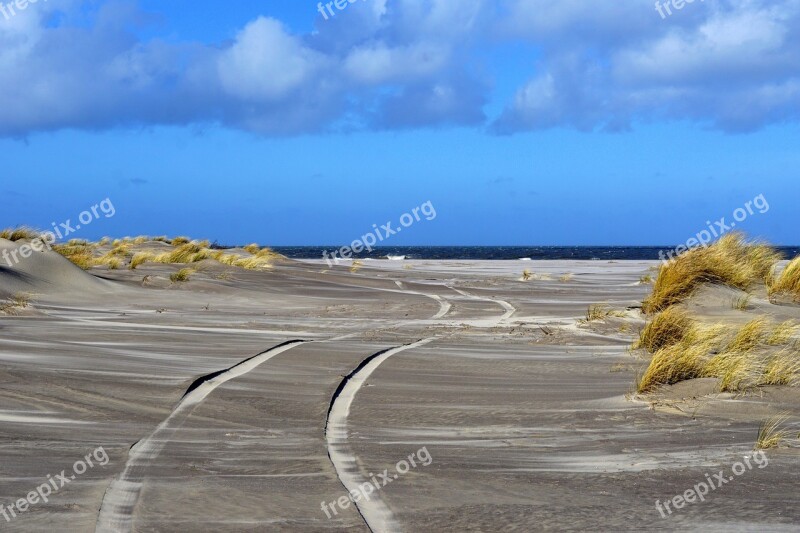 Sea Sand Beach Holland Ameland