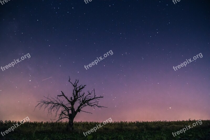 Celebrities Meteor Milky Way Lone Tree A Field Of Corn