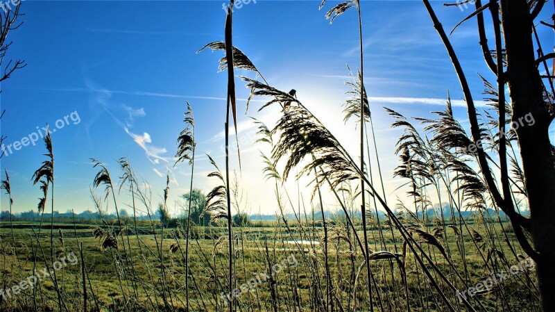 Wind Morning Sunrise Frozen Cold