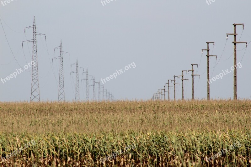 Corn Food Energy Wire Free Photos