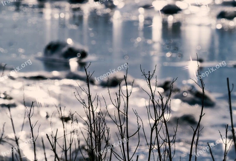 Ice Bay Water Snow Nature