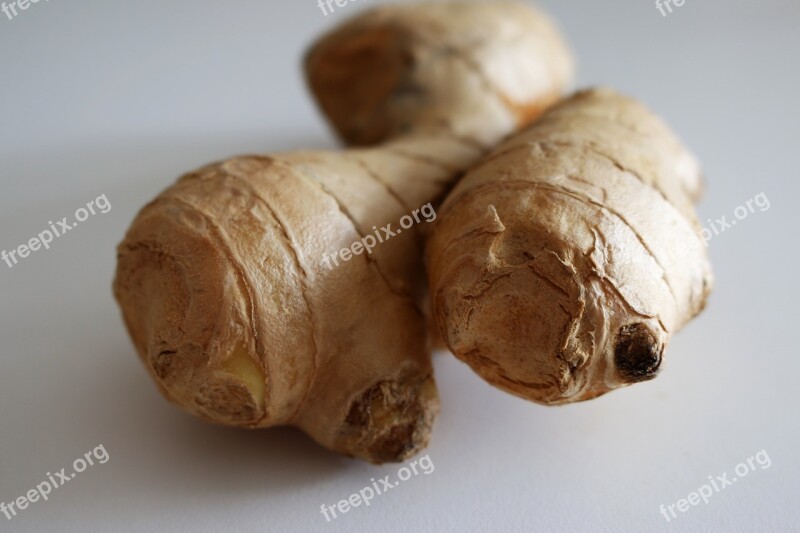 Ginger Bulb Plans Vegetable Root