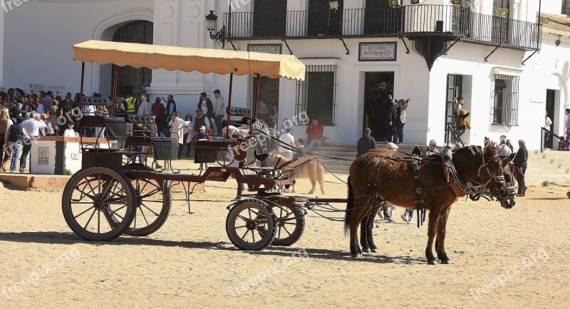 Rocio Car Carriage Horse Old