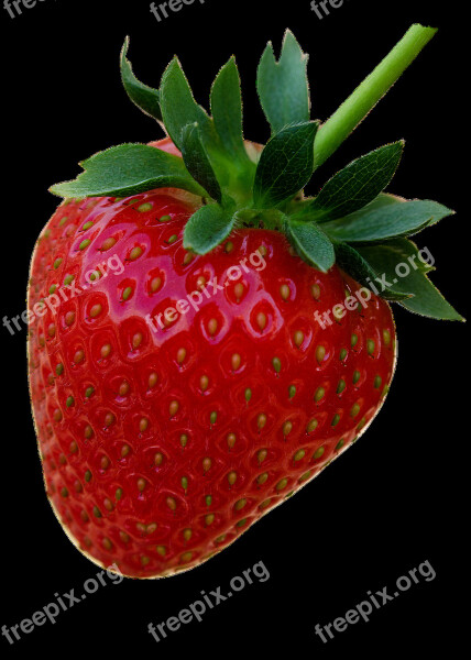 Strawberry Red Fruit Berries Summer